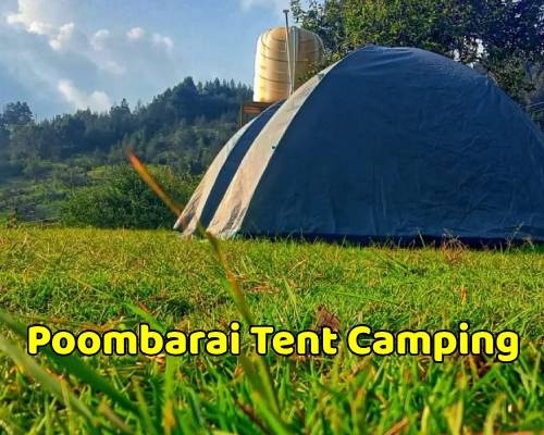 Poombarai Tent Stay